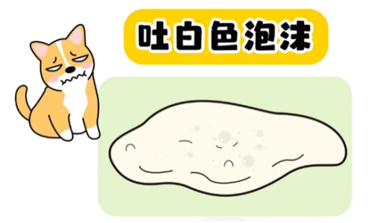 小狗呕吐是怎么回事?