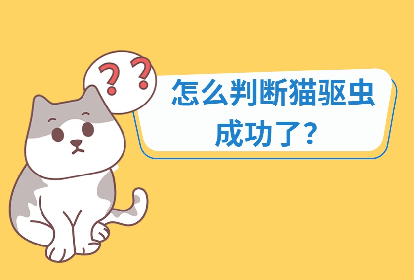怎么判断猫驱虫成功了?