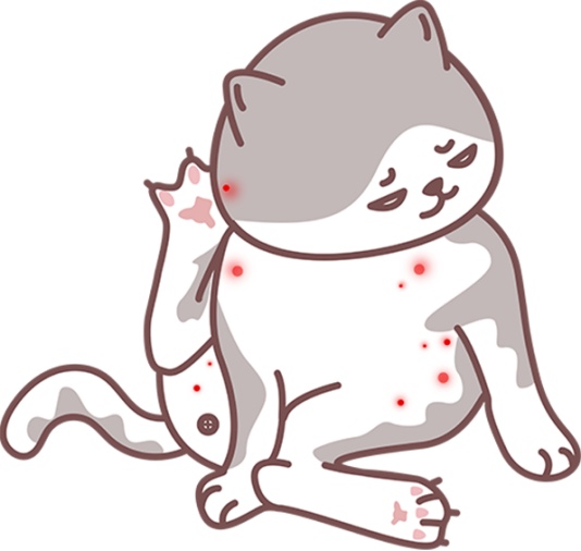 猫驱虫
