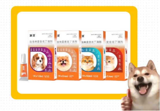 猫咪体外驱虫怎么驱?