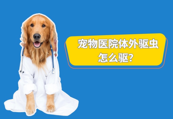宠物医院体外驱虫怎么驱?