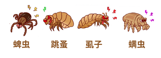 狗狗体外驱虫怎么驱?
