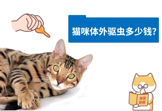 猫咪体外驱虫多少钱?