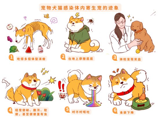 狗狗拉屎有虫子是怎么回事?