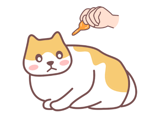猫咪多久驱虫一次?