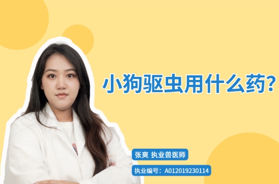 小狗驱虫用什么药?