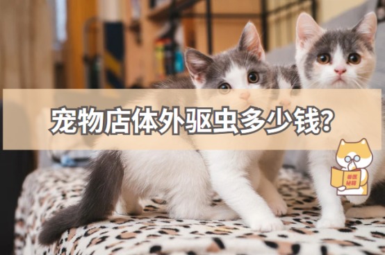 宠物店体外驱虫多少钱?
