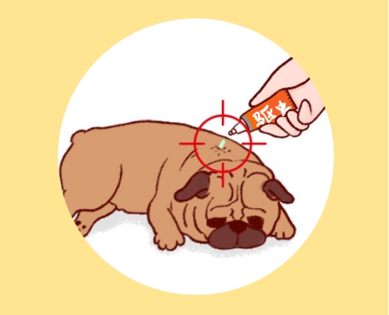 狗狗身上有跳蚤用什么驱虫?