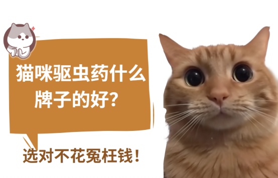 猫咪驱虫药什么牌子的好?