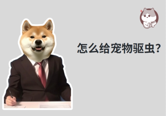 怎么给宠物猫咪or狗狗驱虫?