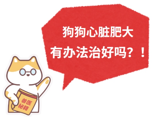 狗狗心脏肥大有办法治好吗?
