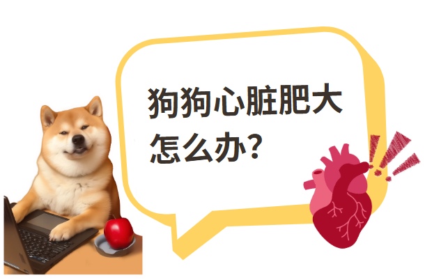 狗狗心脏肥大怎么办?