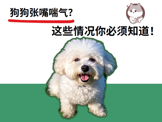 狗狗张嘴喘气怎么回事?