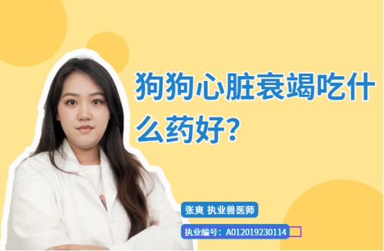 狗狗心脏衰竭吃什么药好?