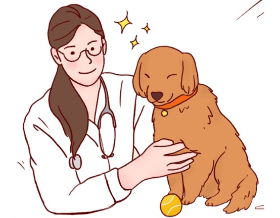 狗狗心脏衰竭怎么办?