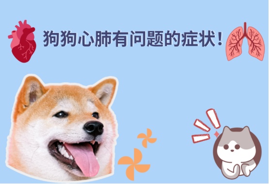 狗狗心肺有问题的症状