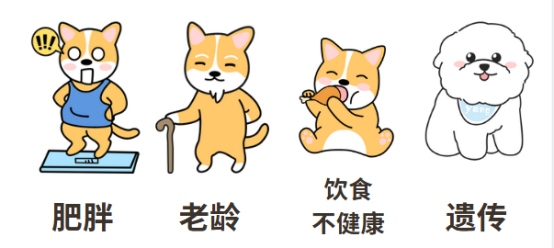 狗狗心脏病会引起咳嗽吗?