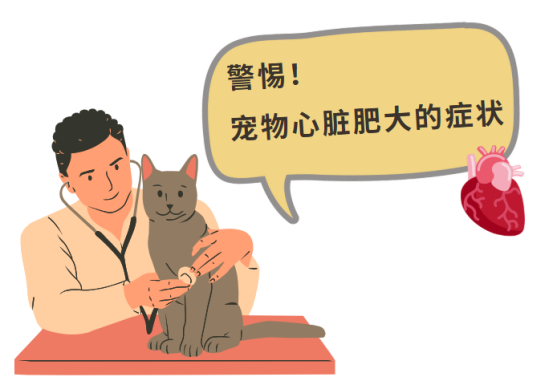 宠物犬猫心脏肥大的症状是什么?