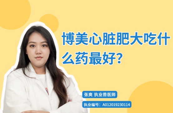 博美心脏肥大吃什么药最好?