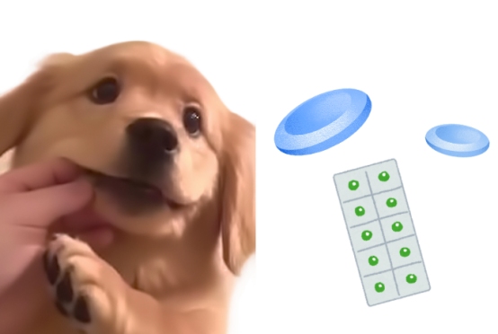 博美犬心脏不好吃什么药?