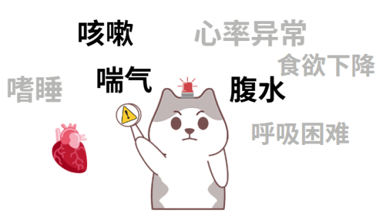 狗狗心脏肥大怎么办?