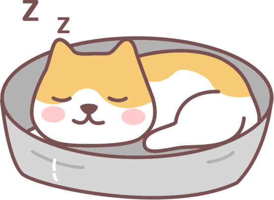 猫咪鼻子堵了怎么解决?