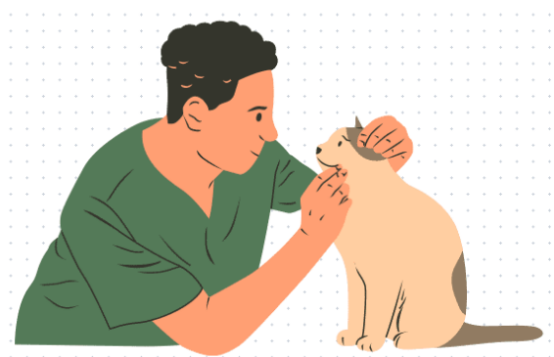猫鼻支用什么药治疗？