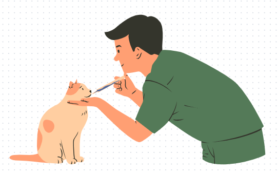猫鼻支流黄鼻涕怎么治?