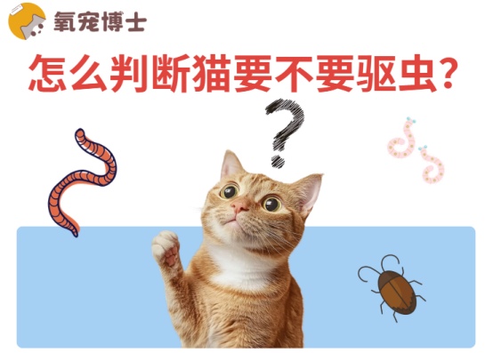 怎么判断猫要不要驱虫?