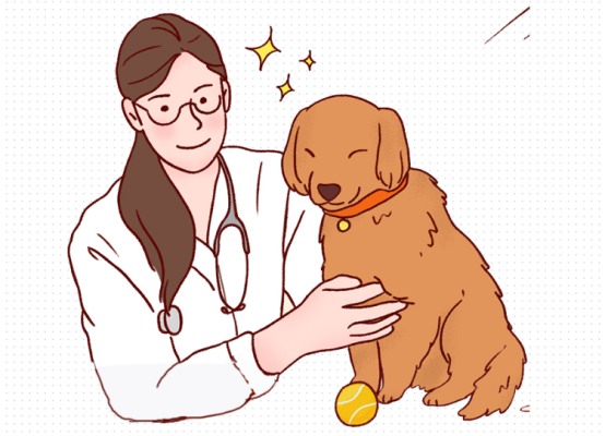 怎么给猫咪驱虫?