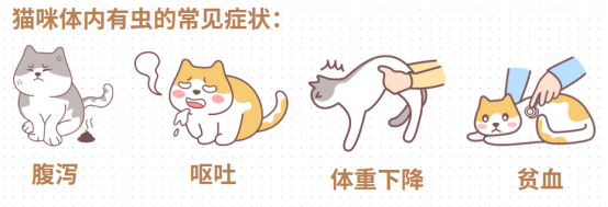 怎么确定猫要不要驱虫?