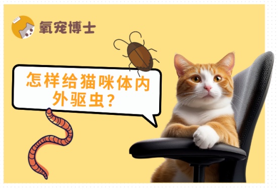 怎样给猫咪体内外驱虫?