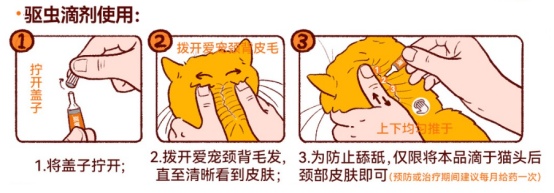 猫咪驱虫的正确方法