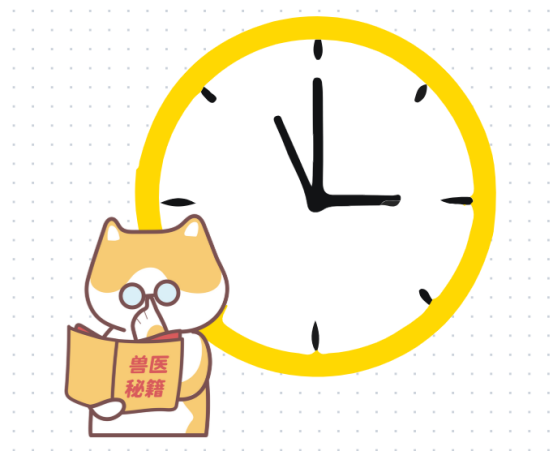 怎样给猫咪驱虫?
