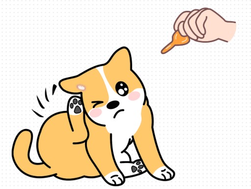狗狗体外驱虫药