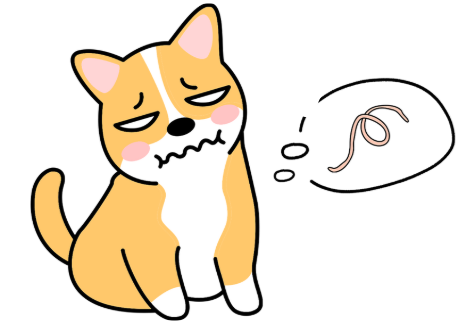 狗狗体内驱虫药