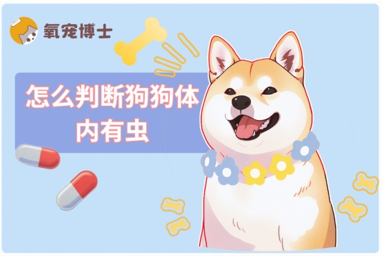 怎么判断狗狗体内有虫?