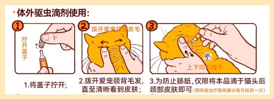 猫咪体外驱虫的正确方法图解