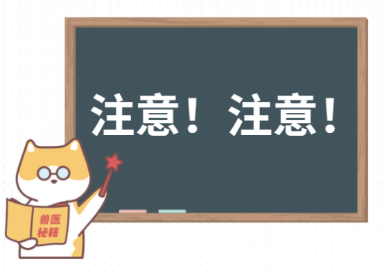 狗狗驱虫