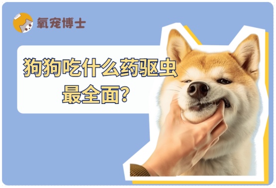 狗狗吃什么药驱虫最全面？