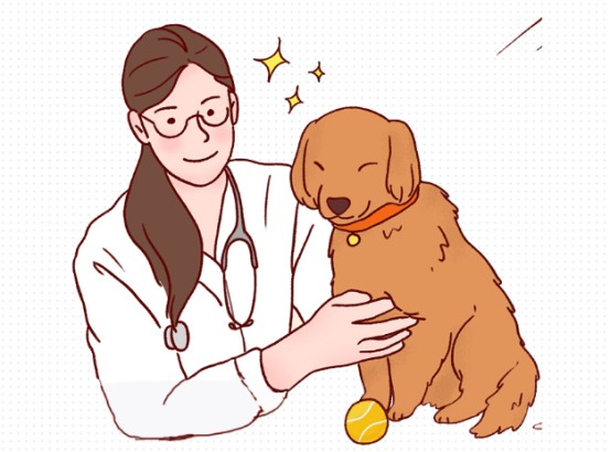 狗狗体内驱虫