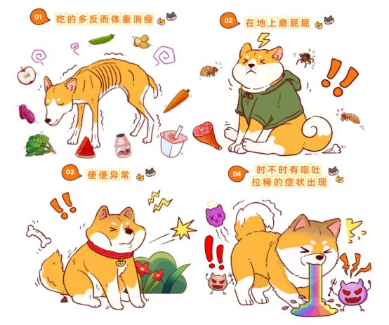 狗狗体内有虫的信号