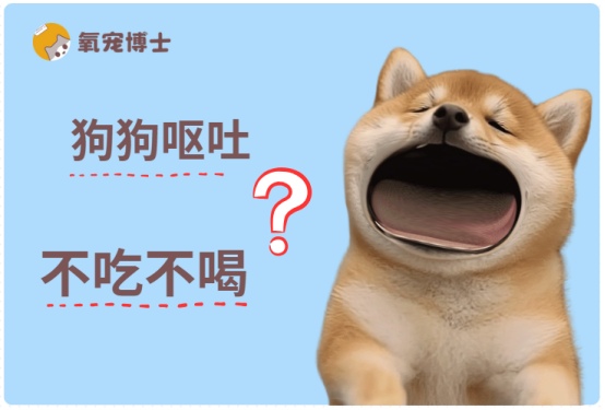狗狗不吃不喝还呕吐怎么办?