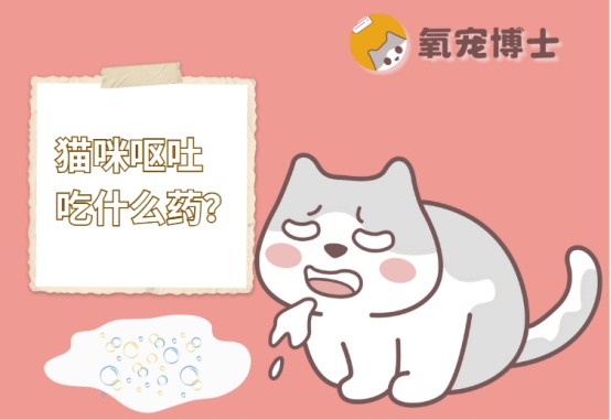猫呕吐吃什么药？