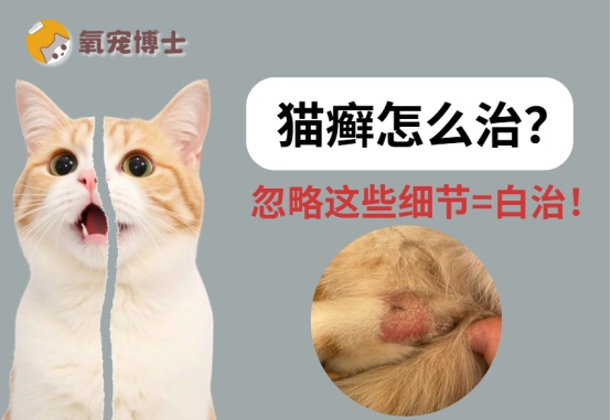 猫身上长癣怎么治?