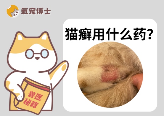 猫癣用什么药?