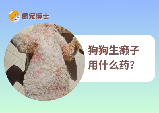 狗狗生癞子用什么药？