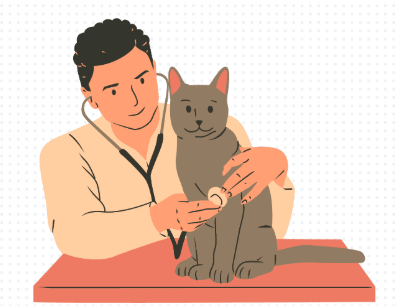 猫咪流鼻涕