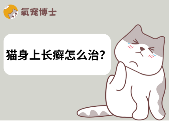 猫癣怎么治？