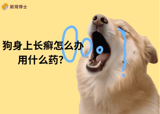 狗身上长癣怎么办用什么药?